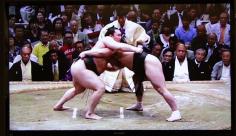 Ryogoku Kokugikan arena for Sumo match.  Getting Around Tokyo on $30/day!