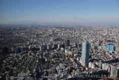A view Tokyo at the Tokyo Metropolitan Government Building