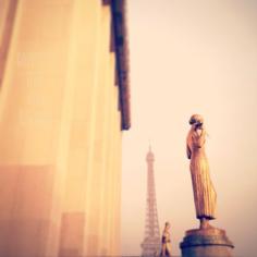 france photography of the eiffel tower