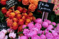 Roses and peonies (les pivoines)