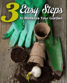 Three Easy Steps to Winterize your Garden #gardening #gardentips