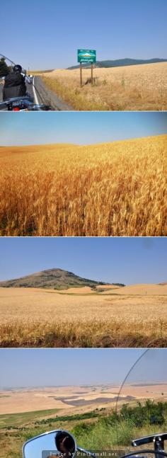 Palouse, Washington State #Palouse