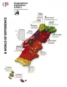 [Maps] “Geographical indications & DOC's of Portugal” by Winesofportugal.com