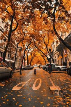 Autumn in New York #USA