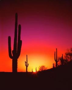 
                    
                        Arizona desert.
                    
                