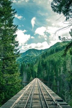 
                    
                        Mountain Rail, The Cascades, Washington, USA
                    
                