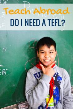 
                    
                        All the information you could ever want about the TEFL
                    
                