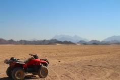 Get ready for an adrenaline-fueled expedition through Dubai's captivating desert scenery with Dune Buggy Dubai Adventures. This comprehensive guide is your go-to resource for everything you need to know about exploring the Dubai desert via dune buggy. From selecting the right tour company to crucial safety advice and must-have experiences, we've got you covered.

https://buggytours.ae/dune-buggy-dubai-adventures-a-comprehensive-guide/