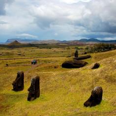 Rano Raraku, Easter Island, Chile — by Miguel Vasquez. three of the almost 400 abandoned moai @ Rano Raraku volcan slope, (the quarry from which they were hewn) in easter...