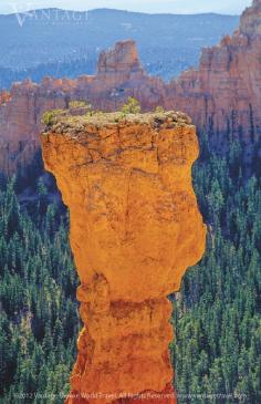 A Bryce Canyon geological formation looms over the valley.   America's Magnificent National Parks Tour