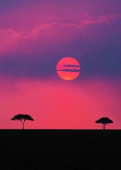 Sunset at Maasai Mara, Kenya