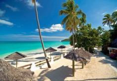 This one is for Beach lovers and beach walkers beautiful Palm trees, clear white sand and great seating areas take the time to visit PayTRAVEL USA at paytravelusa.word...