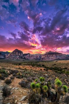 Red Rock Canyon, Nevada (Such a beautiful area for hiking and only 20 minutes outside of Las Vegas, NV)
