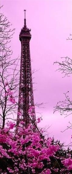 Springtime in Paris • photo:  Caroline Soriano on Flickr
