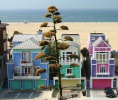 The Strand, Manhattan Beach, California (ocean front homes behind man-made sand barrier ... house in purple & pink is owned by the designer of