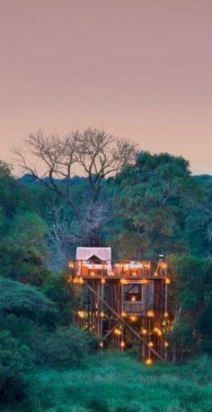 The Tinyeleti Treehouse, Lion Sands Private Game Reserve, Sabi Sand South Africa