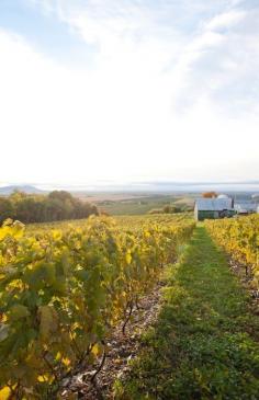 Napa. Sonoma. The Eastern Townships? It's wine time with @Kava_tours ow.ly/zL0E6