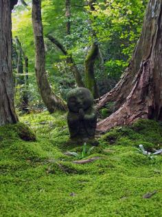 Moss garden, Sanzen-in, Kyoto, Japan  Travel Japan multicityworldtra...