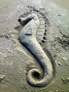 sandy sea horse
