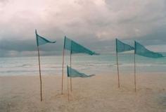 wind flags