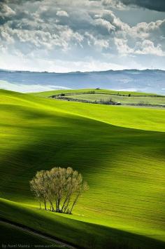 Fields & Shadows - Tuscany, Italy