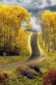 Aspen road in Boulder, Colorado