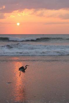 Sunrise, North Carolina Outer Banks