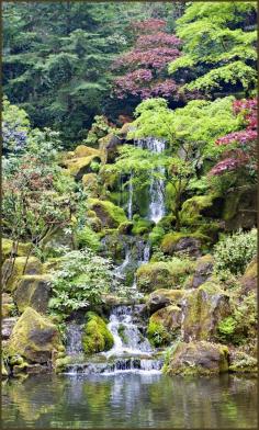 Spring at the Portland Japanese Gardens