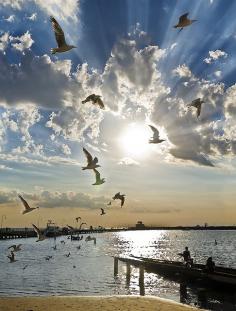Beautiful sky. ascension by sadaiche (Peter Franc). (St. Kilda Pier, Melbourne Victoria Australia)