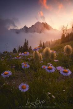 A Valley Between by Ryan Dyar on 500px #mount_rainier #USA