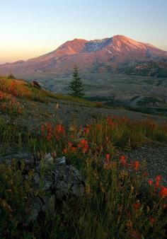 Glowing Cauldron by Cole Chase Photography on Flickr   Mt. St. Helens, Washington state