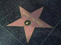 oh yeah, he has a star!