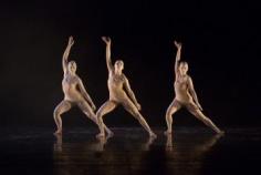 Bangarra Dance Theatre - Australia on the International Stage - aussietheatre.com...
