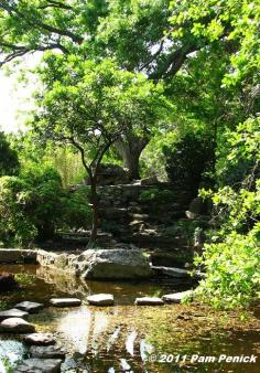Japanese Garden at Zilker Botanical Garden