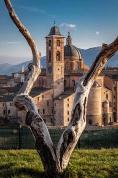 Duomo, Urbino