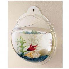 Wall mounted fish bowl