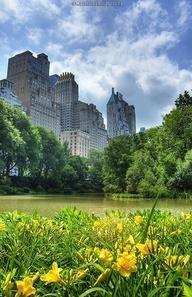 Central Park in Spring #NewYorkCity, United States.