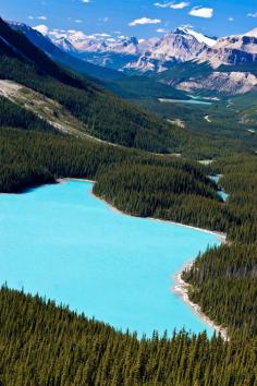 Peyto Lake, Alberta | Canada by cblee