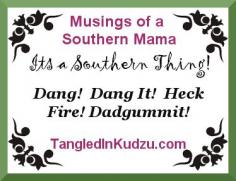 Musings of a Southern Mama www.tangledinkudz...
