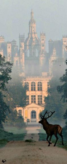 Traveling - Chateau de Chambord, France.