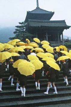 umbrellas in kyoto