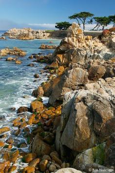 Monterey Peninsula, CA