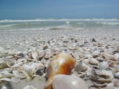 She sells sea shells by the sea shore. by krystalchu, via Flickr