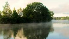 376....Early morning on the River @ Alabama