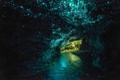 Glowworm Caves, New Zealand | 26 Real Places That Look Like They've Been Taken Out Of Fairy Tales