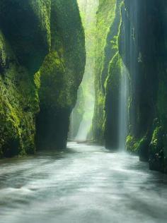 Absolutely Amazing - Rainforest Canyon in Oneonta Gorge, Oregon, United States
