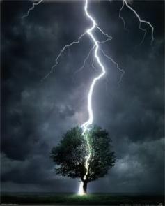 Love lightning.  Life is storm.