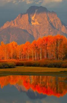 Autumn in the Grand Tetons, Jackson Hole, Wyoming