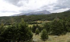 Kevin's cabin with the Crazy Mountains behind