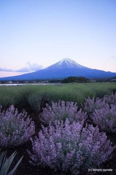 Mt. Fuji, Japan: Photo by Kenichi Sunata